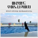 쇼 | 후쿠오카 아쿠아리움 마린월드 우미노나카미치｜돌고래쇼 후기 유모차 대여 정보