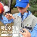국립수목원 내셔널지오그래픽 키즈 탐험대 신청 방법과 참가 활동 후기