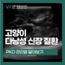 더블유 건강관리 센터 이미지