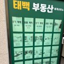 태백부동산중개사무소 이미지