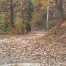 정가네 민박 이미지