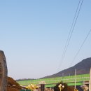 원주굽이길 2코스 700년 노송길 이미지