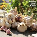 삼촌이네 농산 이미지