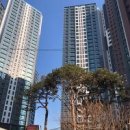 잠원센트럴공인중개사사무소 이미지