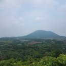 위미쉼팡 | 비로소 제주도에 온 이유