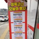 초이스퀸 이미지