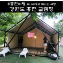달콤한 캠핑장 | 강원도 홍천 글램핑, 달콤한캠핑장 계곡 다슬기 체험 후기