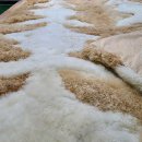 수선세탁 이미지