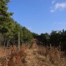 서천 건지산성 이미지