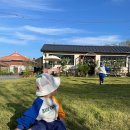 달이뜨면꽃이피고 이미지