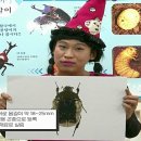 다온농장(2) 이미지