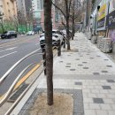 광덕산로 이미지