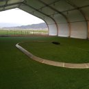 영광잔디 이미지