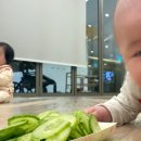 롯데백화점 구리점 | [육아] 반짝반짝 똘망이/김진선 강사/ 롯데백화점 구리점 후기