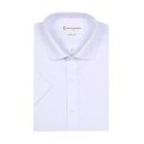 까메리노 이미지