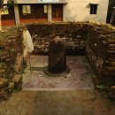 금강경 설법지 ㅡ 스라바스티 푸르바람 마하비하르 아소카 석주 이미지