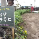 성산풀하우스
