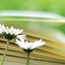 그날이후 91-V 이미지