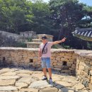 나무여행 이미지