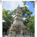 메기대감 이미지