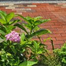 금호가축약품 이미지