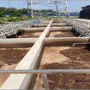 고덕농장 이미지