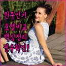 보스코아호텔 | 원주 혁신도시 기업도시 인기 호텔 4곳 비교 분석과 투숙 후기 정리