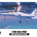 T-38A Talon 'USAF' #WP10001 [1/48th WolfPack MADE IN KOREA] PT1 이미지