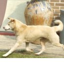 원풍농장 이미지