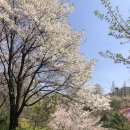 래미안지니공인중개사사무소 이미지