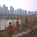 운정호수공원 이미지