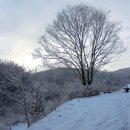 선은농장 이미지