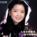 노*구 - 안양시 동안구 관악대로106번길 | 노*구