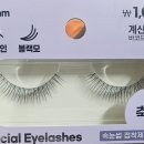 스페셜 아이래쉬