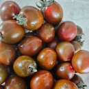 더달콤토마토 | 흑대추 방울토마토 후기 🍅 달콤한데 상큼해서 계속 먹게 되는 맛