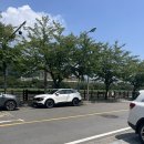 원조수라상 꼬막정식 네이버블로그