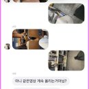 정만출 | 아이돌자만추와 상해