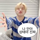 츄츄(chu chu) | 위버스 디엠 웹결제로 변경하기🐱