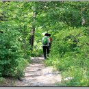 대관령주막집 이미지