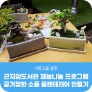 [4월 재능나눔] 공기정화식물로 내추럴 인테리어 소품 만들기 | 곤지암도서관 재능나눔 프로그램 &lt;공기정화 소품, 플랜테리어 만들기&gt;
