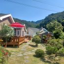 내린천의 봄 이미지