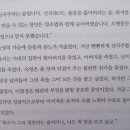숙영유통