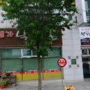 팀라이거복싱 이미지