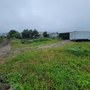 돈키호테공인중개사사무소 이미지