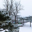 눈꽃이피다 이미지