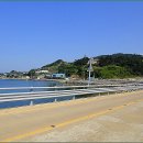 금일읍-3 이미지