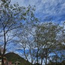 산아래 집밥 | 백양사한식맛집추천 산아래집밥 (구)정읍식당 후기