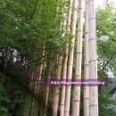 화원농협주유소 이미지