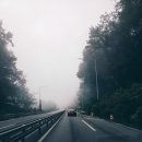 금대자동차야영장(치악산국립공원) 이미지