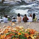 수동골 Daum카페